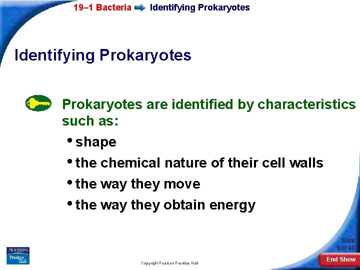 19– 1 Bacteria Identifying Prokaryotes are identified by characteristics such as: • shape •