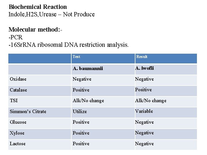 Biochemical Reaction Indole, H 2 S, Urease – Not Produce Molecular method: -PCR -16