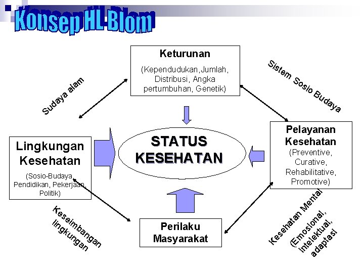 Keturunan ud a ay m la a (Kependudukan, Jumlah, Distribusi, Angka pertumbuhan, Genetik) Sis