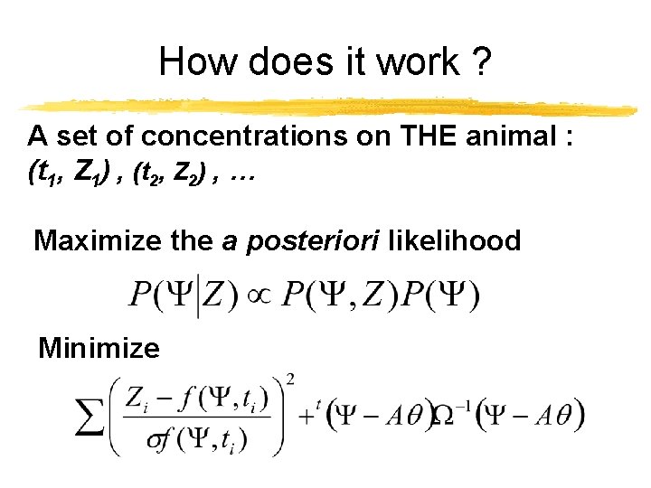 How does it work ? A set of concentrations on THE animal : (t