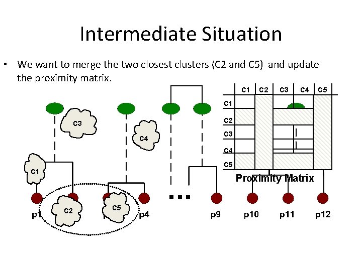 Intermediate Situation • We want to merge the two closest clusters (C 2 and