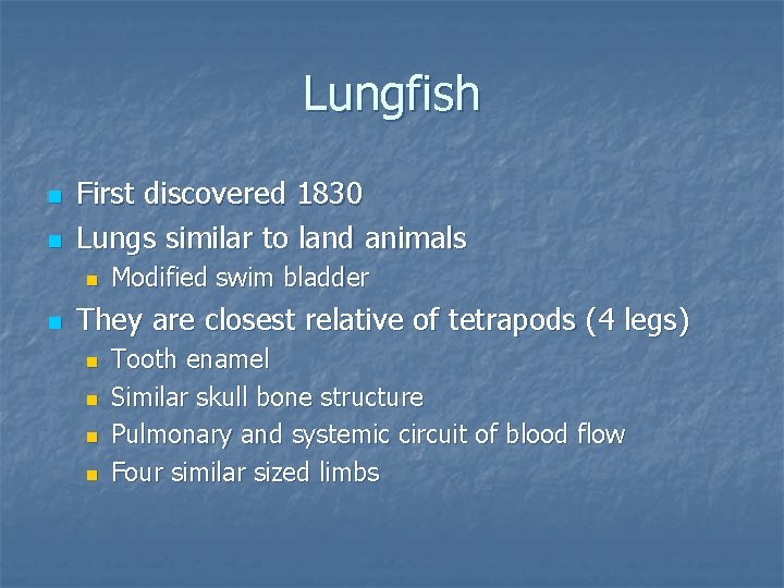 Lungfish n n First discovered 1830 Lungs similar to land animals n n Modified
