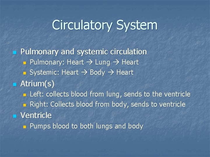 Circulatory System n Pulmonary and systemic circulation n Atrium(s) n n n Pulmonary: Heart