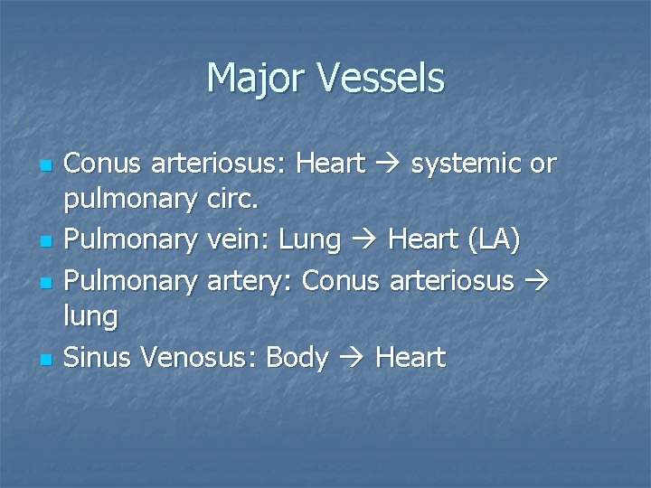 Major Vessels n n Conus arteriosus: Heart systemic or pulmonary circ. Pulmonary vein: Lung