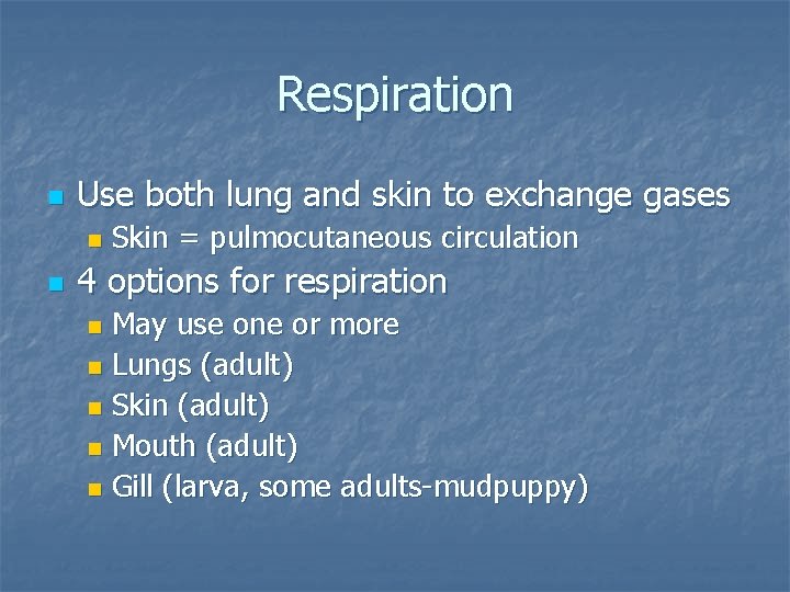 Respiration n Use both lung and skin to exchange gases n n Skin =