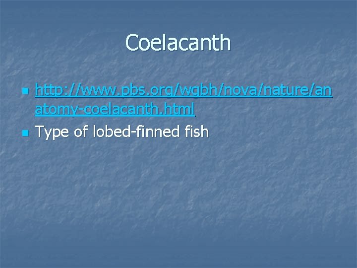 Coelacanth n n http: //www. pbs. org/wgbh/nova/nature/an atomy-coelacanth. html Type of lobed-finned fish 