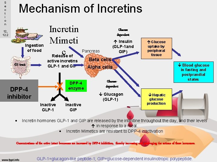S e c t i o n Mechanism of Incretins 12, 12. 2 Ingestion