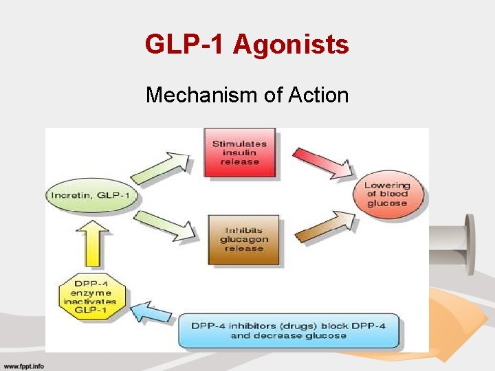 GLP-1 Agonists Mechanism of Action 