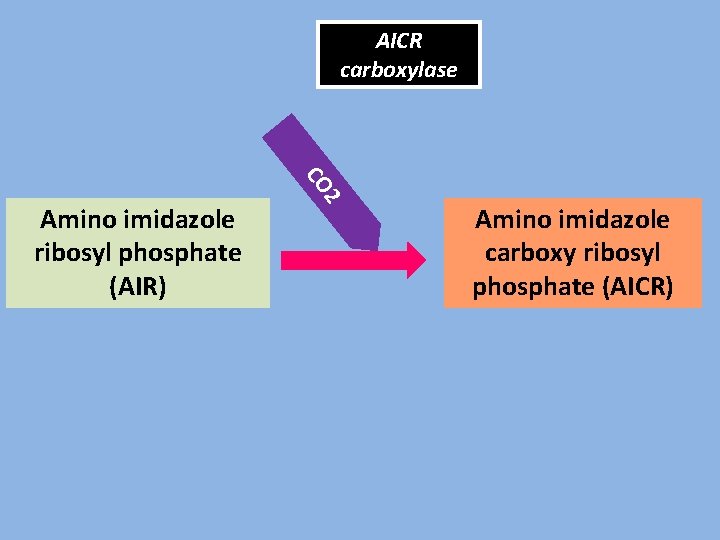 AICR carboxylase 2 CO Amino imidazole ribosyl phosphate (AIR) Amino imidazole carboxy ribosyl phosphate