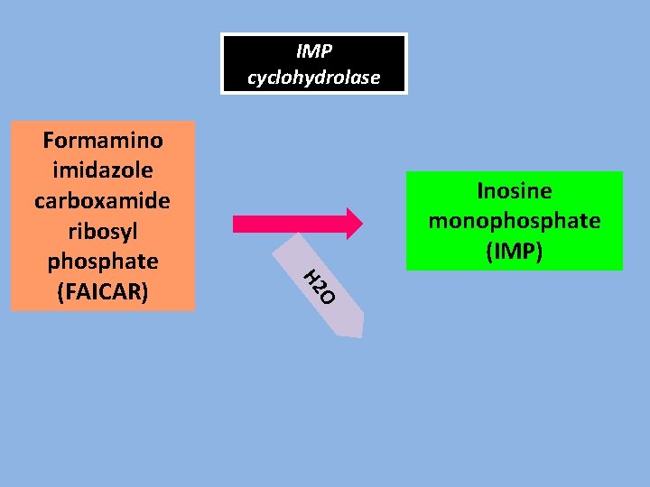 IMP cyclohydrolase Inosine monophosphate (IMP) O H 2 Formamino imidazole carboxamide ribosyl phosphate (FAICAR)