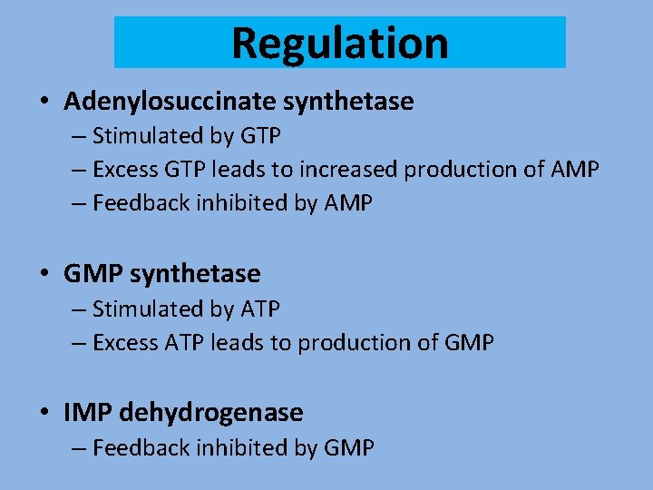 Regulation • Adenylosuccinate synthetase – Stimulated by GTP – Excess GTP leads to increased