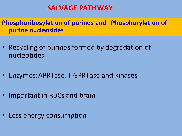 SALVAGE PATHWAY: . Phosphoribosylation of purines and Phosphorylation of purine nucleosides • Recycling of