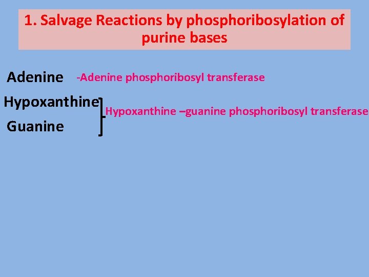 1. Salvage Reactions by phosphoribosylation of purine bases Adenine -Adenine phosphoribosyl transferase Hypoxanthine –guanine