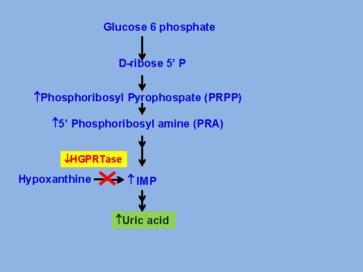 Glucose 6 phosphate D-ribose 5’ P Phosphoribosyl Pyrophospate (PRPP) 5’ Phosphoribosyl amine (PRA) HGPRTase
