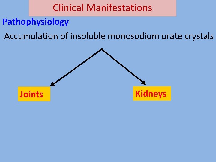 Clinical Manifestations Pathophysiology Accumulation of insoluble monosodium urate crystals Joints Kidneys 