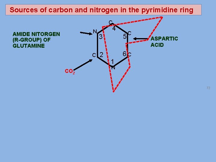 Sources of carbon and nitrogen in the pyrimidine ring C N AMIDE NITORGEN (R-GROUP)