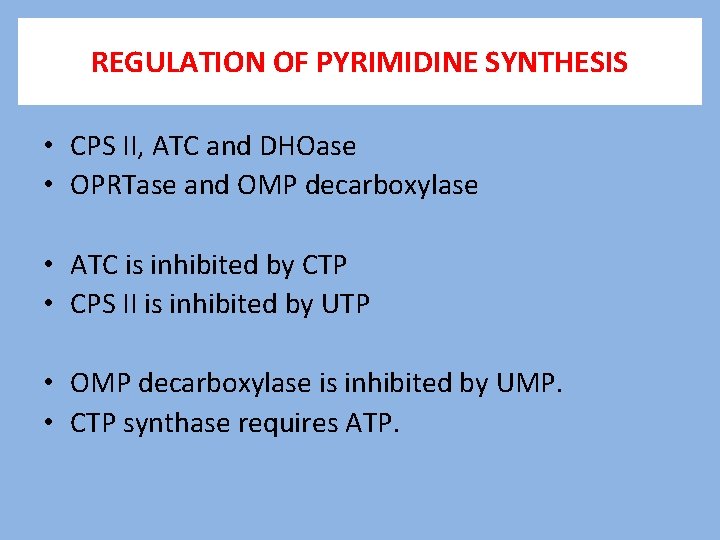 REGULATION OF PYRIMIDINE SYNTHESIS • CPS II, ATC and DHOase • OPRTase and OMP