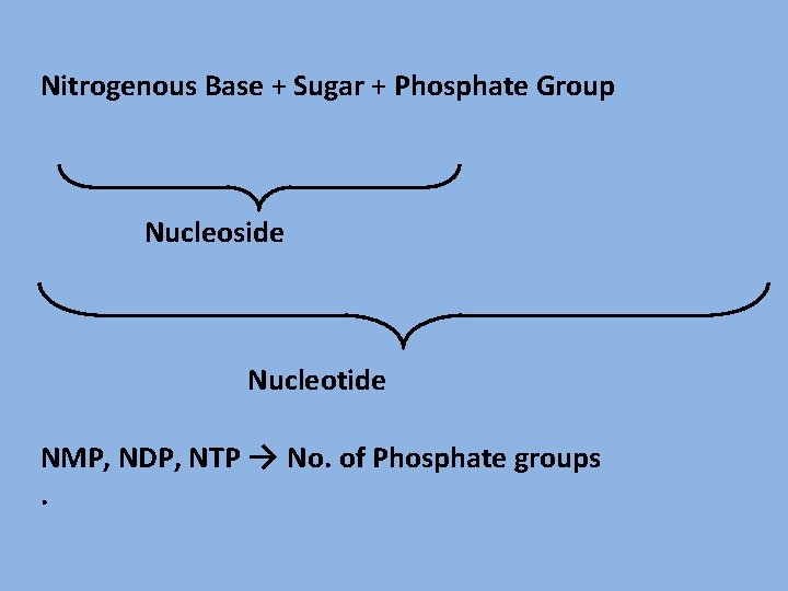 Nitrogenous Base + Sugar + Phosphate Group Nucleoside Nucleotide NMP, NDP, NTP → No.