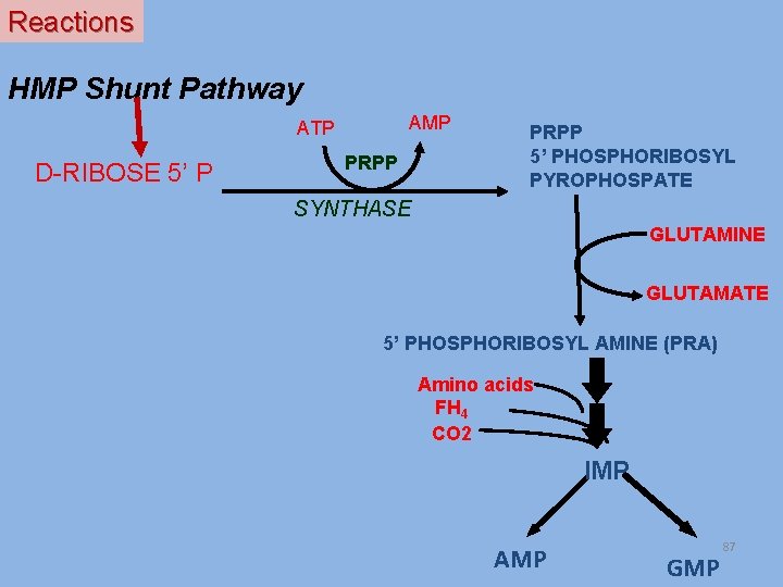 Reactions HMP Shunt Pathway AMP ATP D-RIBOSE 5’ P PRPP 5’ PHOSPHORIBOSYL PYROPHOSPATE SYNTHASE