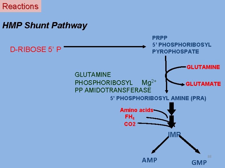Reactions HMP Shunt Pathway D-RIBOSE 5’ P PRPP 5’ PHOSPHORIBOSYL PYROPHOSPATE GLUTAMINE PHOSPHORIBOSYL Mg