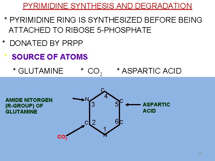 PYRIMIDINE SYNTHESIS AND DEGRADATION * PYRIMIDINE RING IS SYNTHESIZED BEFORE BEING ATTACHED TO RIBOSE