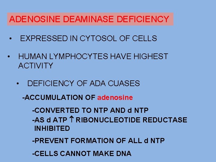 ADENOSINE DEAMINASE DEFICIENCY • EXPRESSED IN CYTOSOL OF CELLS • HUMAN LYMPHOCYTES HAVE HIGHEST