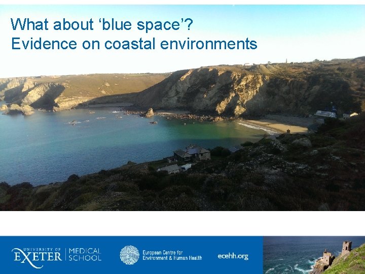 12 What about ‘blue space’? Evidence on coastal environments 