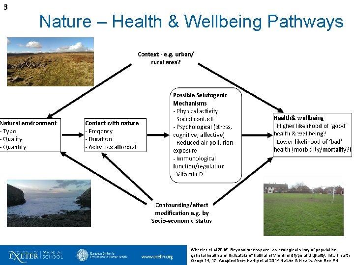 3 Nature – Health & Wellbeing Pathways Wheeler et al 2015. Beyond greenspace: an