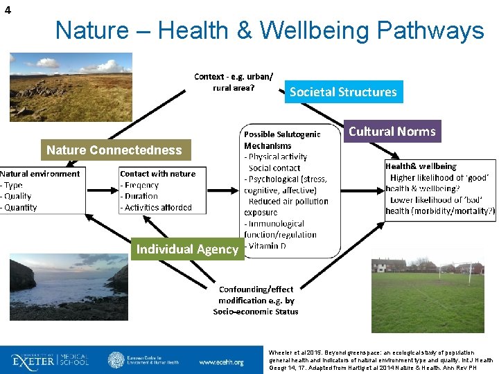 4 Nature – Health & Wellbeing Pathways Societal Structures Cultural Norms Nature Connectedness Individual