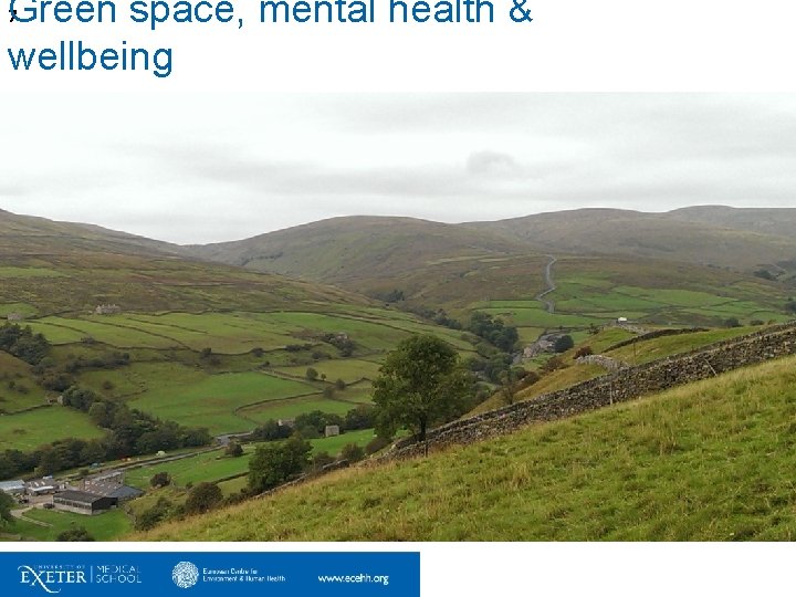 Green space, mental health & wellbeing 7 