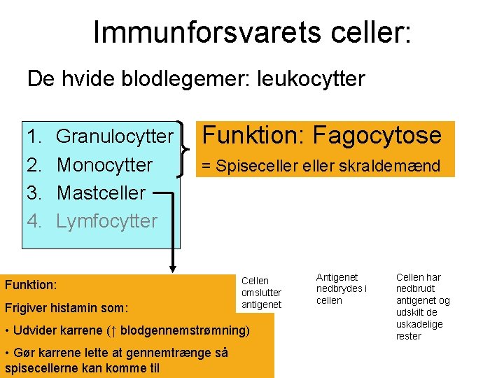 Immunforsvarets celler: De hvide blodlegemer: leukocytter 1. 2. 3. 4. Granulocytter Monocytter Mastceller Lymfocytter