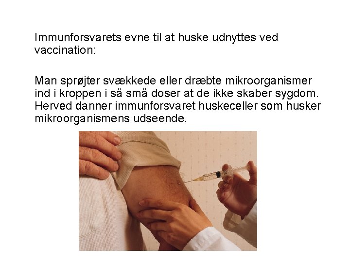 Immunforsvarets evne til at huske udnyttes ved vaccination: Man sprøjter svækkede eller dræbte mikroorganismer
