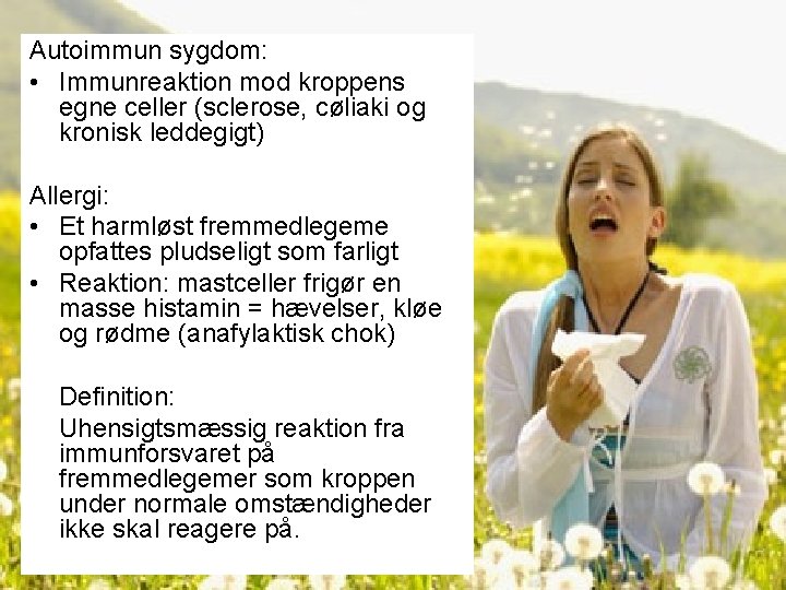 Autoimmun sygdom: • Immunreaktion mod kroppens egne celler (sclerose, cøliaki og kronisk leddegigt) Allergi: