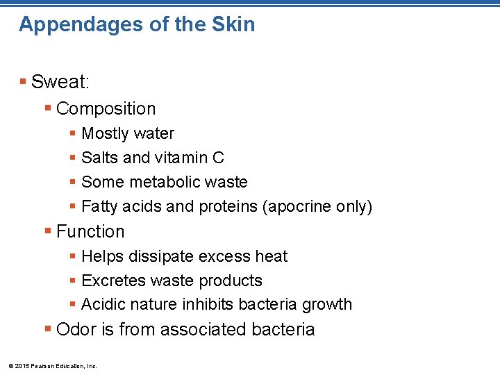 Appendages of the Skin § Sweat: § Composition § Mostly water § Salts and
