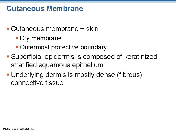 Cutaneous Membrane § Cutaneous membrane skin § Dry membrane § Outermost protective boundary §
