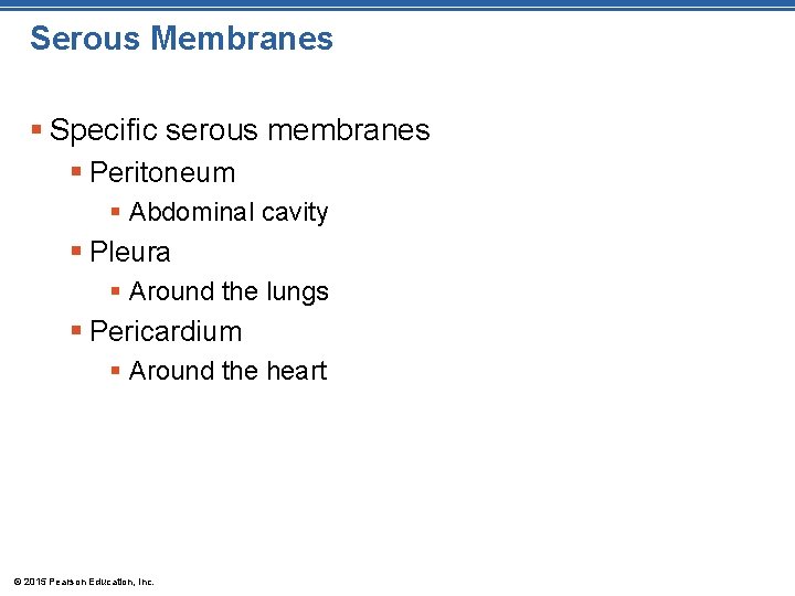 Serous Membranes § Specific serous membranes § Peritoneum § Abdominal cavity § Pleura §