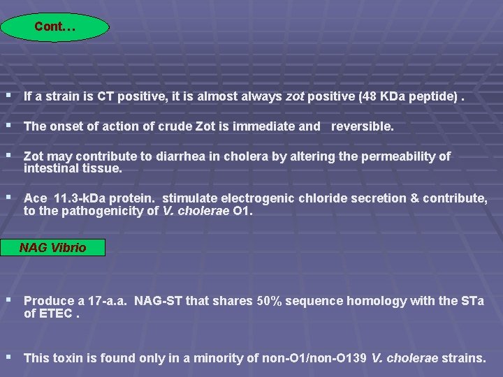 Cont… § If a strain is CT positive, it is almost always zot positive