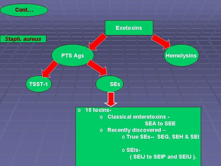 Cont… Exotoxins Staph. aureus PTS Ags TSST-1 Hemolysins SEs o 18 toxinso Classical enterotoxins