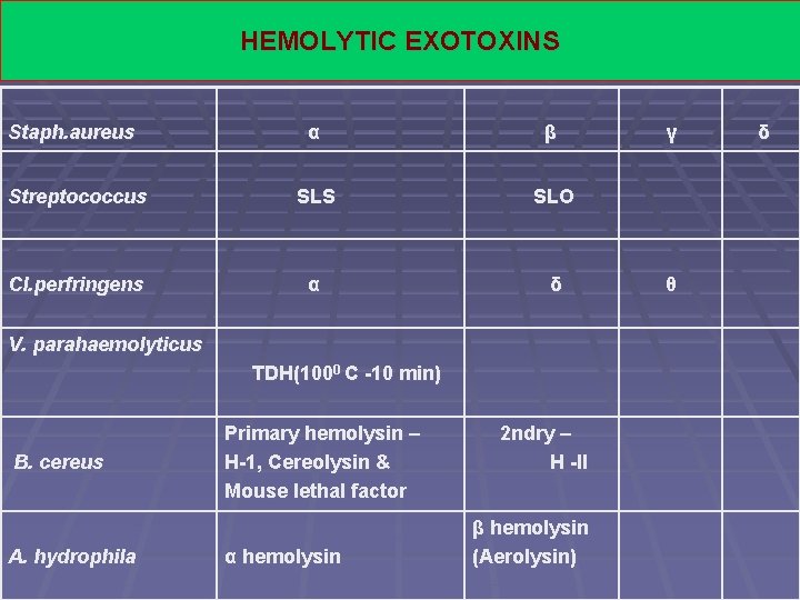 HEMOLYTIC EXOTOXINS Staph. aureus α β Streptococcus SLS SLO Cl. perfringens α δ V.