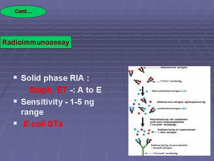 Cont… Radioimmunoassay § Solid phase RIA : Staph. ET -: A to E §