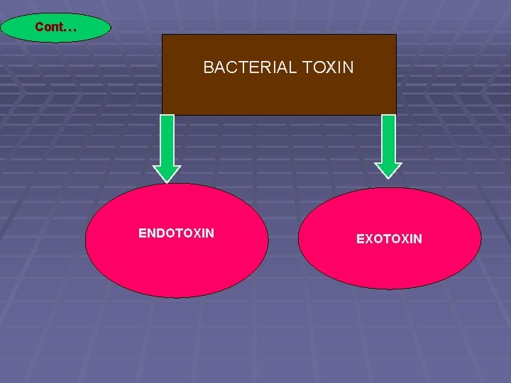 FOOD BORNE BACTERIAL TOXINS OVERVIEW OF PRESENTATION INTRODUCTION