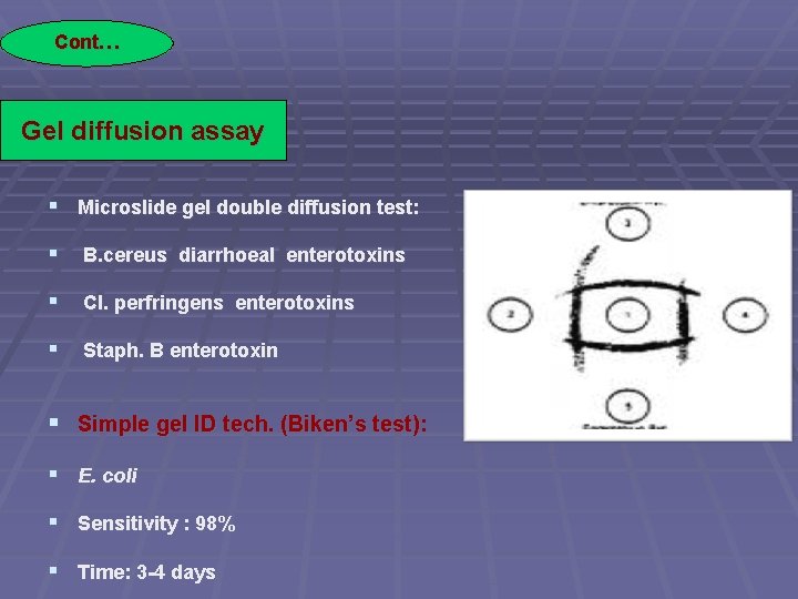 Cont… Gel diffusion assay § Microslide gel double diffusion test: § B. cereus diarrhoeal