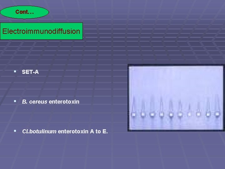 Cont… Electroimmunodiffusion § SET-A § B. cereus enterotoxin § Cl. botulinum enterotoxin A to