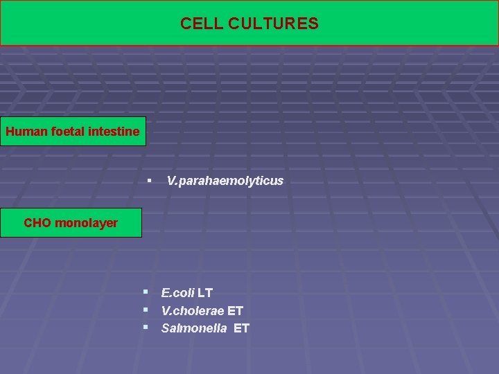 CELL CULTURES Human foetal intestine § V. parahaemolyticus CHO monolayer § E. coli LT
