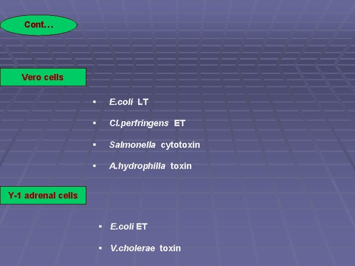 Cont… Vero cells § E. coli LT § Cl. perfringens ET § Salmonella cytotoxin