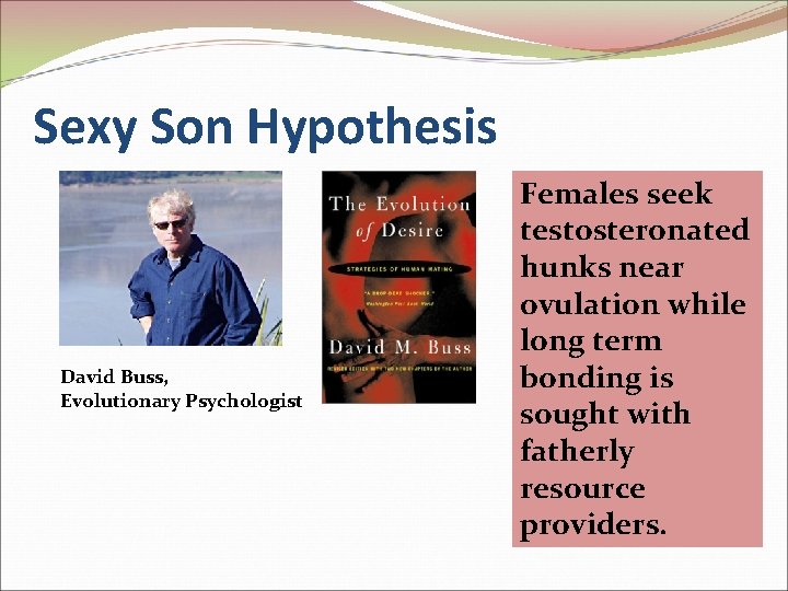 Sexy Son Hypothesis David Buss, Evolutionary Psychologist Females seek testosteronated hunks near ovulation while