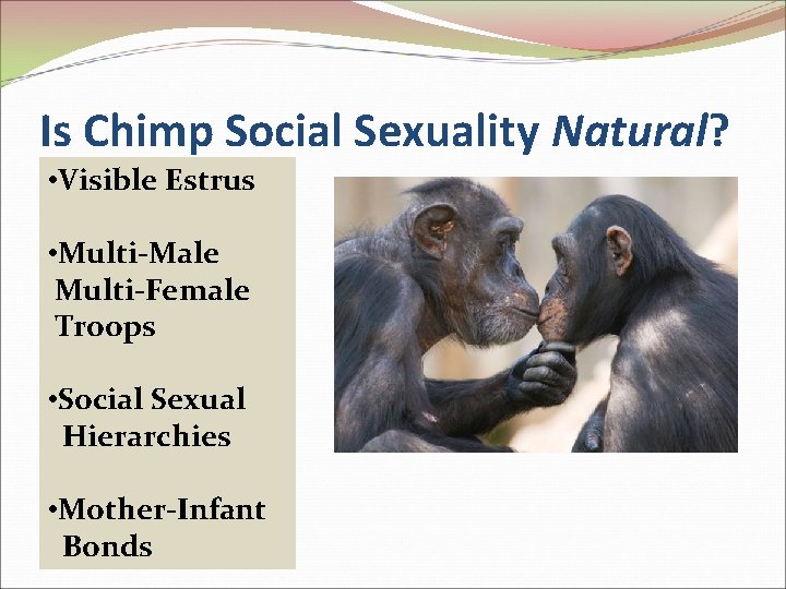 Is Chimp Social Sexuality Natural? • Visible Estrus • Multi-Male Multi-Female Troops • Social
