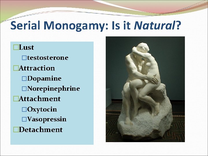 Serial Monogamy: Is it Natural? �Lust �testosterone �Attraction �Dopamine �Norepinephrine �Attachment �Oxytocin �Vasopressin �Detachment