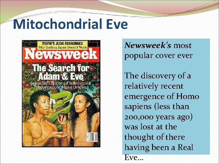 Mitochondrial Eve Newsweek’s most popular cover ever The discovery of a relatively recent emergence