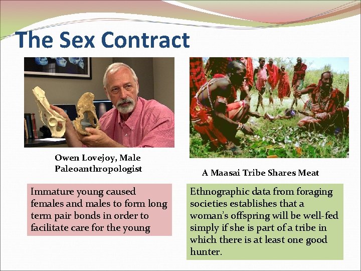 The Sex Contract Owen Lovejoy, Male Paleoanthropologist Immature young caused females and males to